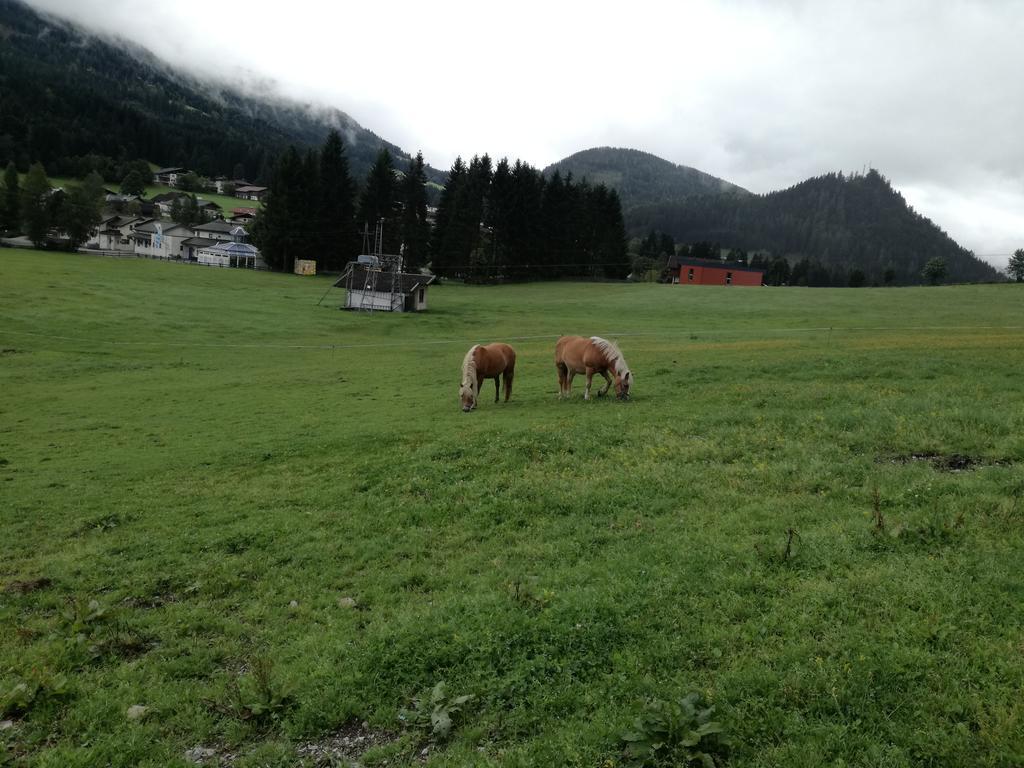 Apartment Knablhof Sankt Martin am Tennengebirge Zewnętrze zdjęcie